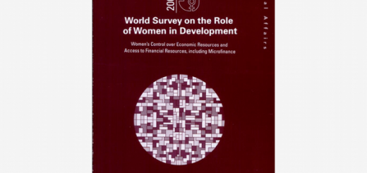 World-Survey-UN-2009